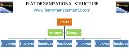 Flat Organizational Chart