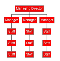 Sainsburys Organisational Structure Chart