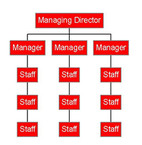 what is a tall organisational structure